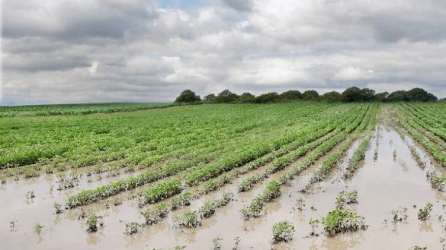 ¿Cómo siguen las lluvias en el resto de la semana?