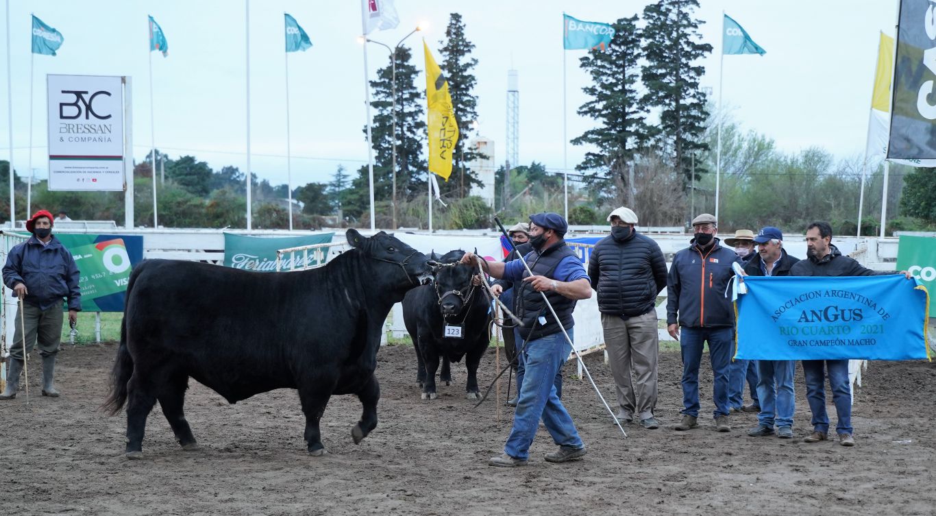 Río Cuarto: "El Señuelo" obtuvo el Gran Campeón Macho