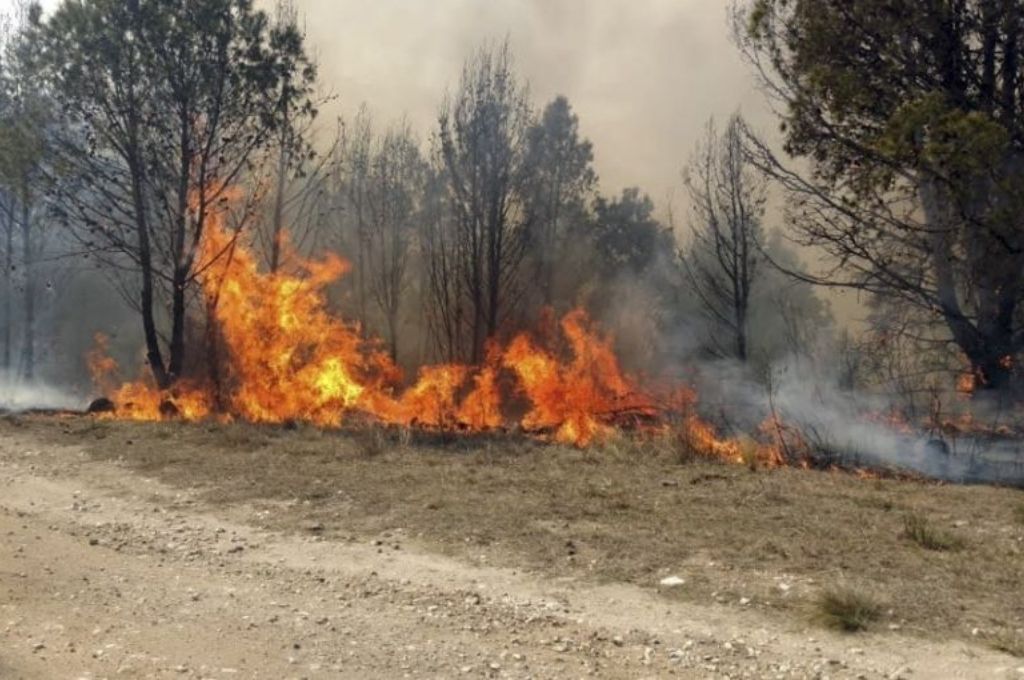 Registran dos focos activos de incendios forestales en la provincia de Jujuy