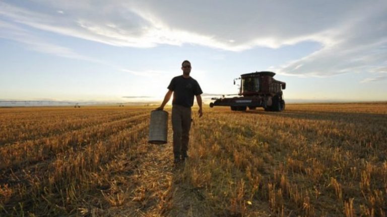 Comenzó el empalme de planes sociales con trabajo rural estacional