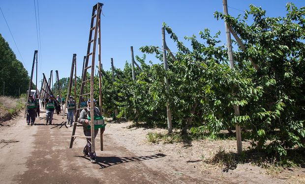 Piden enfocar la Agricultura Familiar como fuente de trabajo genuino
