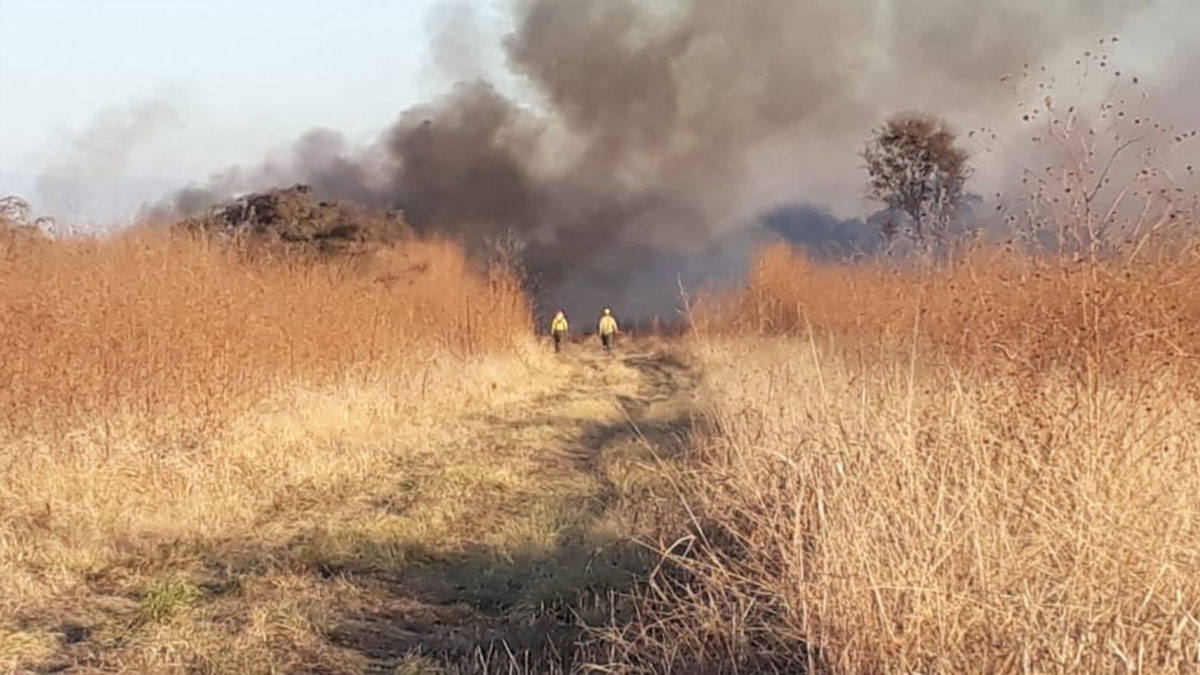 Las brigadas lograron apagar los incendios en Jujuy y no se registran focos activos