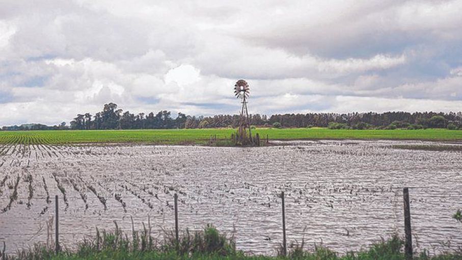 Lluvias traen alivio a la agricultura, en particular a cultivos de zona núcleo