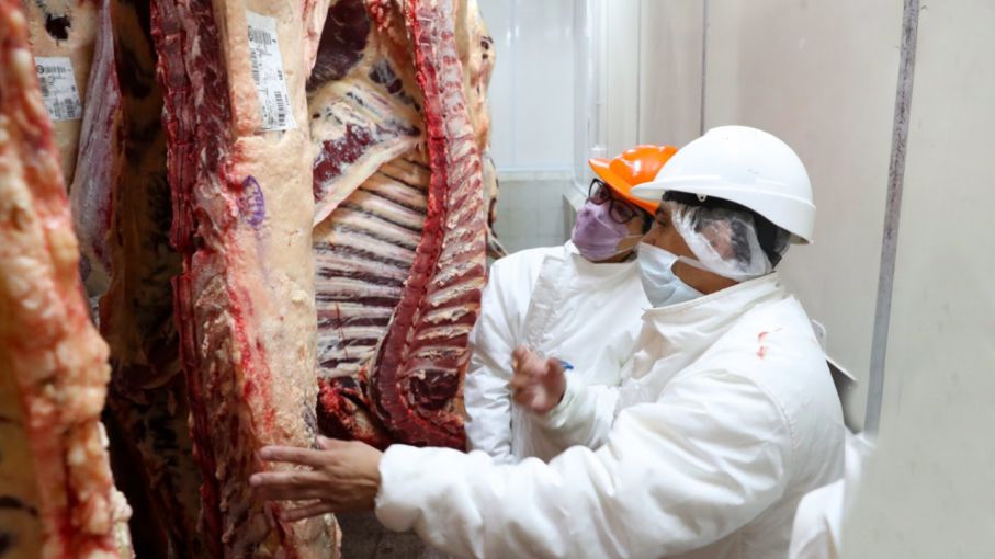 Santa Fe niega que se hayan producido 150 despidos en frigoríficos