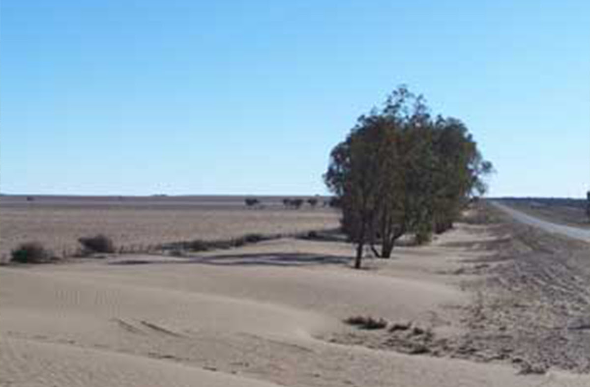 Los forrajes y las pasturas en los ciclos de menores y más variables lluvias en la región pampeana