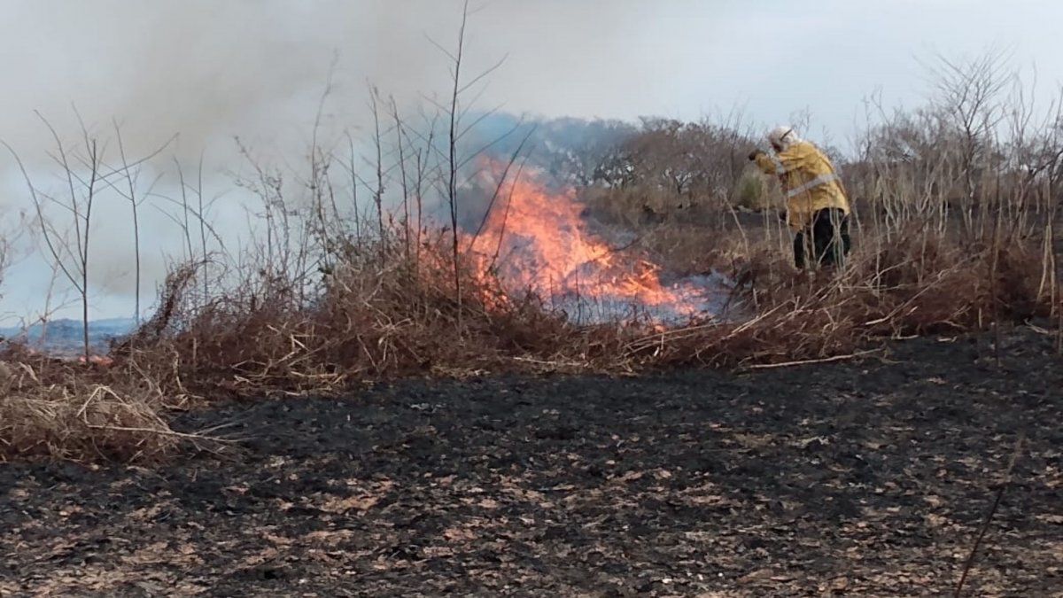Cinco provincias registraban hoy focos activos de incendios forestales