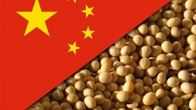 La demanda de soja y harina de soja aumentará en China
