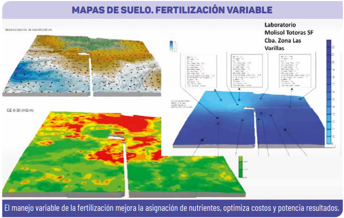 Soja: ambientes diferentes , estrategias distintas