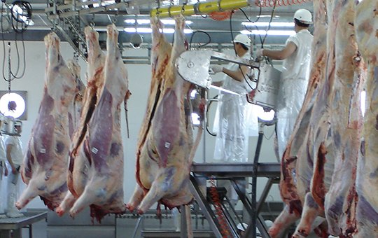 En agosto, la faena siguió ignorando las restricciones a la exportación