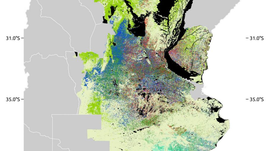 Presentan el tercer mapa nacional de cultivos extensivos