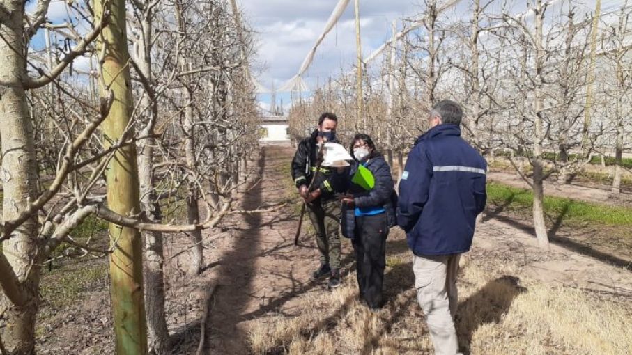 Verifican establecimientos productivos que exportan frutas a México