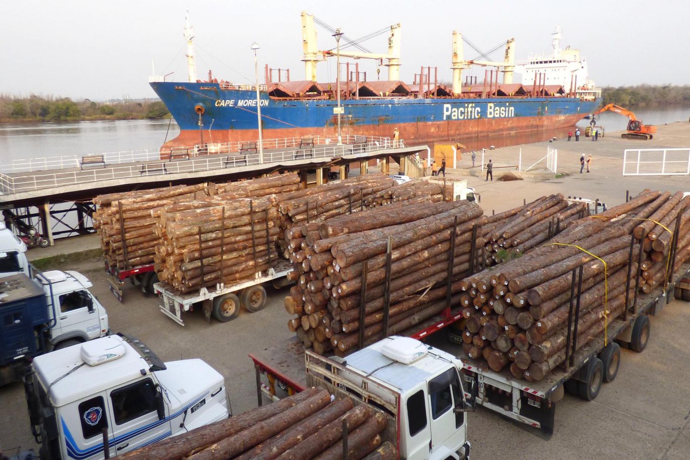 Cargan 34.000 toneladas de madera de pino en Entre Ríos con destino a India