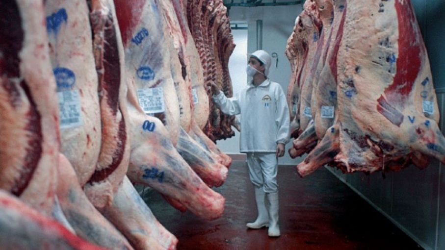 Las exportaciones de carne del Mercosur alcanzaron en 2022 un récord histórico, Pero Argentina quedo posicionada en la peor ubicacion