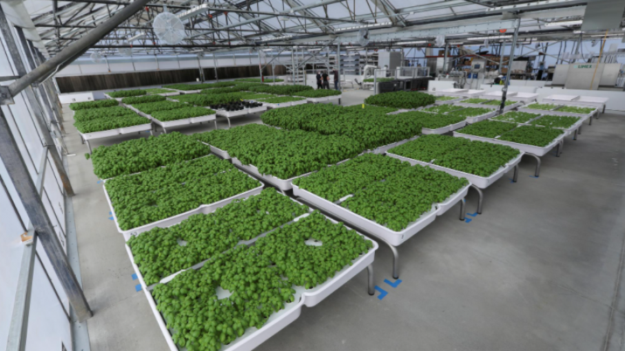El fondo de tecnología verde de Bill Gates apuesta por los robots agrícolas de Silicon Valley