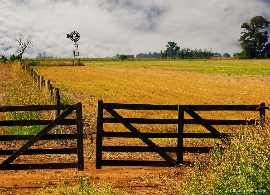 Cuántos años se necesitan para recuperar la inversión en la compra de un campo en Argentina