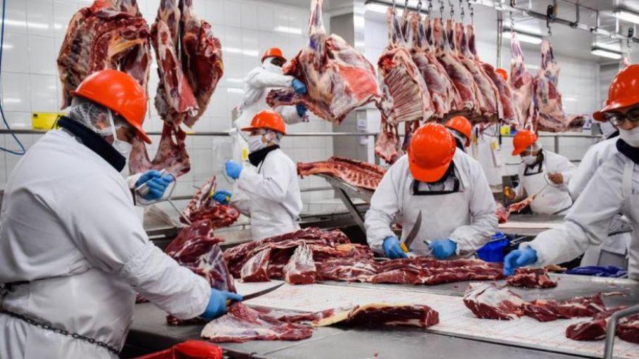 Crecen 25% las exportaciones de carne en agosto