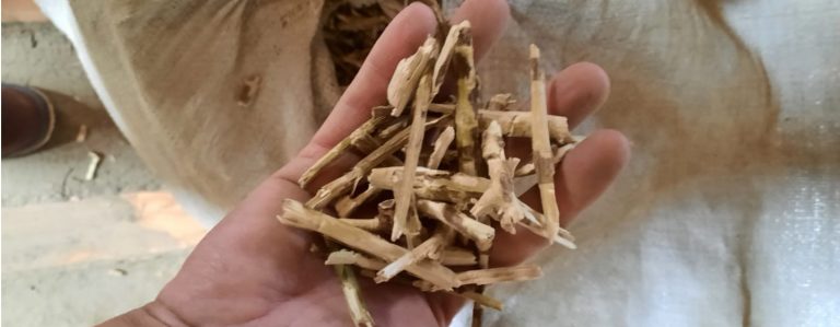 Decomisaron más de 22 mil kilos de palos de yerba mate en San Pedro