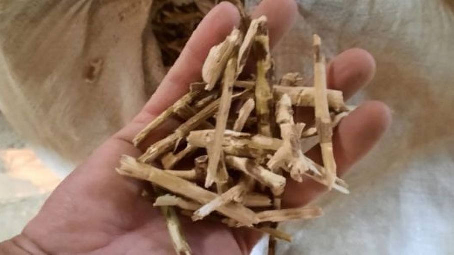 Decomisaron más de 22 mil kilos de palos de yerba mate en San Pedro