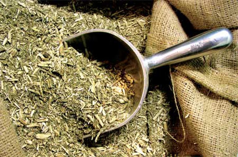 Yerba mate : consumo interno y exportaciones superaron 130 millones de kilos hasta mayo
