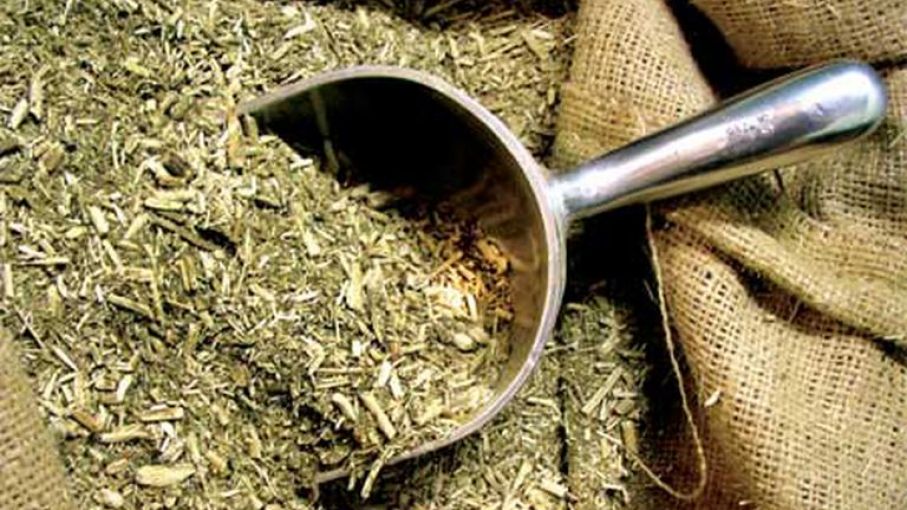 El consumo interno de yerba mate superó los 189 millones de kilos al cierre de agosto