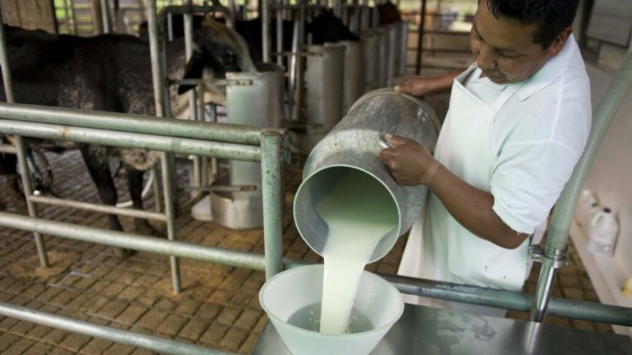 Industria lechera advierte proyecto de etiquetado podría afectar las exportaciones lácteas