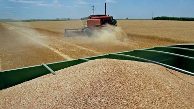 Tensión entre cooperativas y acopiadores: el debate por la igualdad impositiva