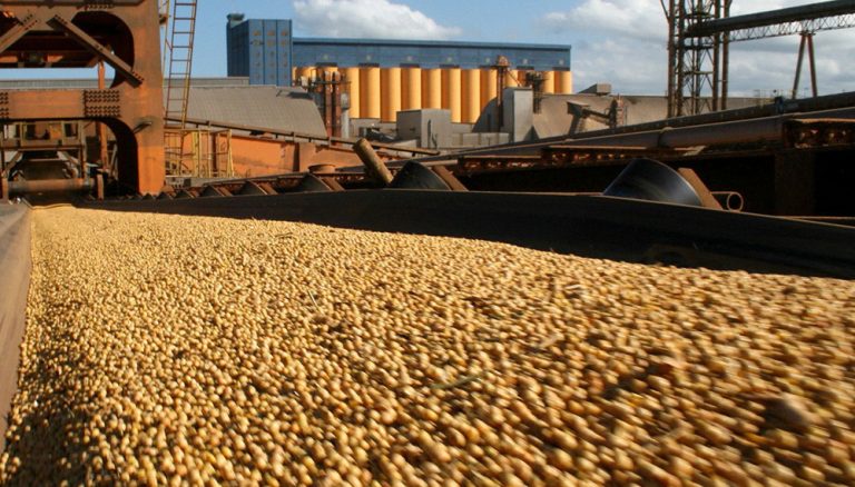 La industria aceitera reclama  a los sindicatos a levantar el paro y retomar  diálogo