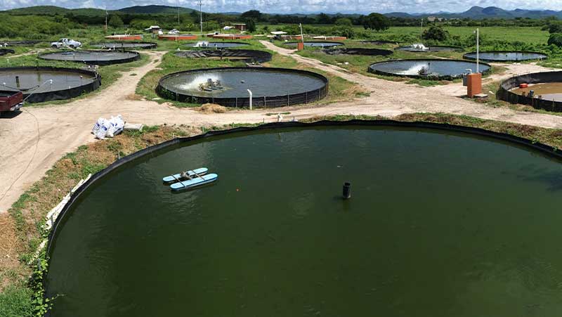 Agricultura renueva programa de energía eléctrica acuícola