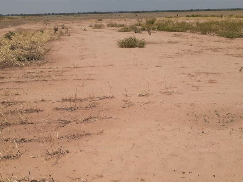 Emergencia por sequia: Capitanich anuncio asistencia financiera por 1.200 millones de pesos