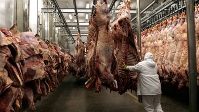 Carne argentina: señales de recuperación en exportaciones mientras crecen las tensiones geopolíticas