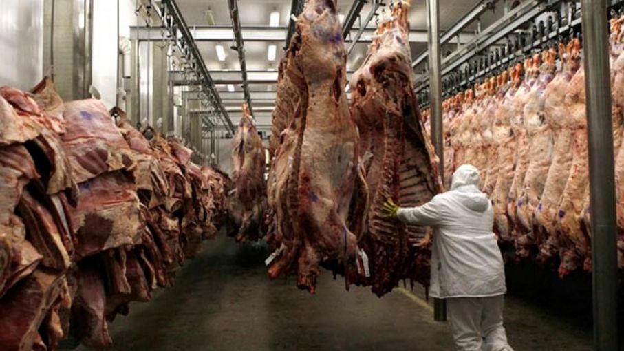 Alerta roja en la ganadería: un indicador está en los niveles de 2008/2010