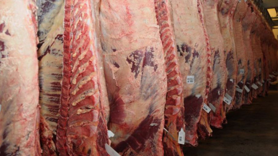Finalizó inspección sanitaria de EEUU al sistema de control de exportaciones argentinas de carne