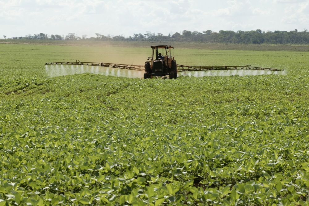 Paraguay tiene 180 días para reparar daños ambientales, dice ONU