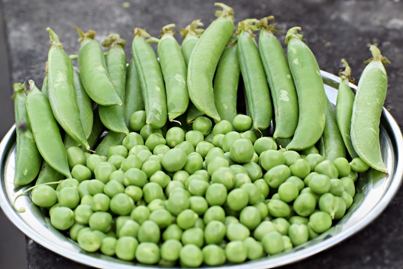 Arvejas: las proteínas vegetales que ganan terreno