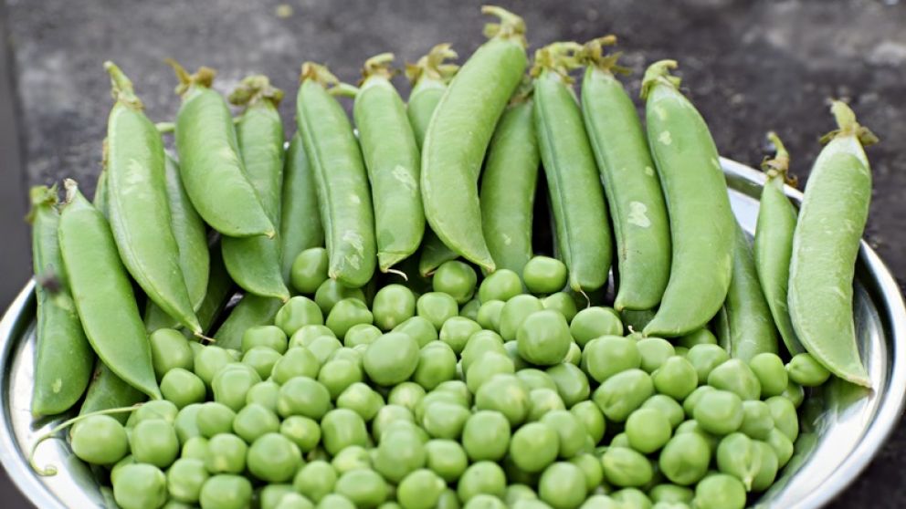 Arvejas: las protenas vegetales que ganan terreno