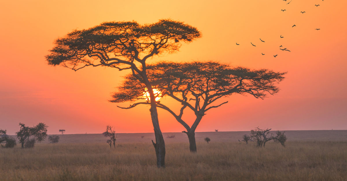 Cambio climático: África, el continente en la mira