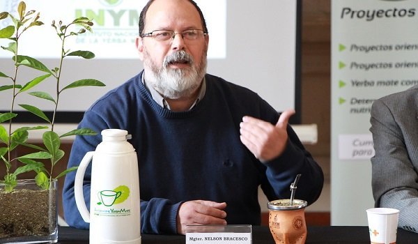 La yerba mate es un tema de la salud pública