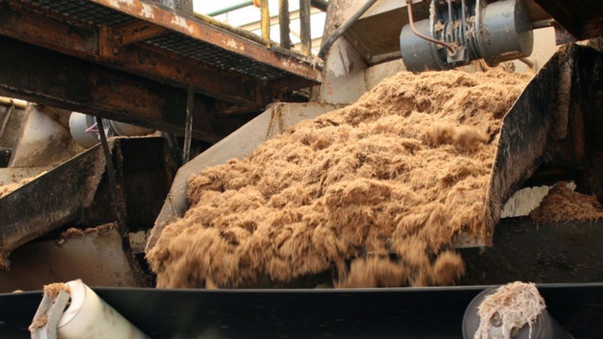 Exportaciones de azúcar de Ledesma crecieron más de 120% en la última temporada