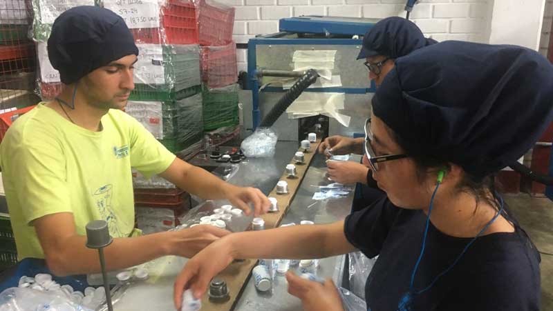 Empleos asociados a las exportaciones crecieron 29.3% a agosto