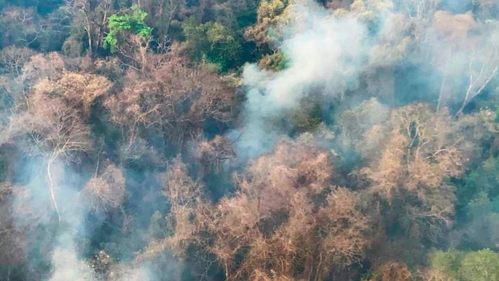 Córdoba, La Rioja y Jujuy continuaban hoy con focos activos de incendios forestales