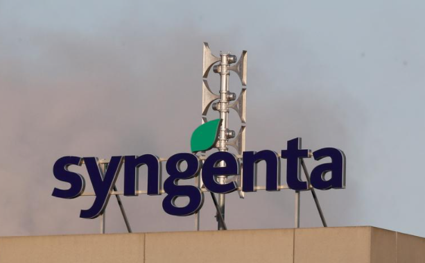 Italia veta la venta de un productor de semillas a Syngenta, de propiedad china