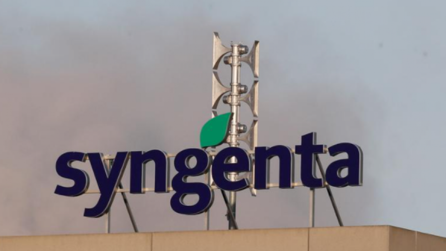 Italia veta la venta de un productor de semillas a Syngenta, de propiedad china