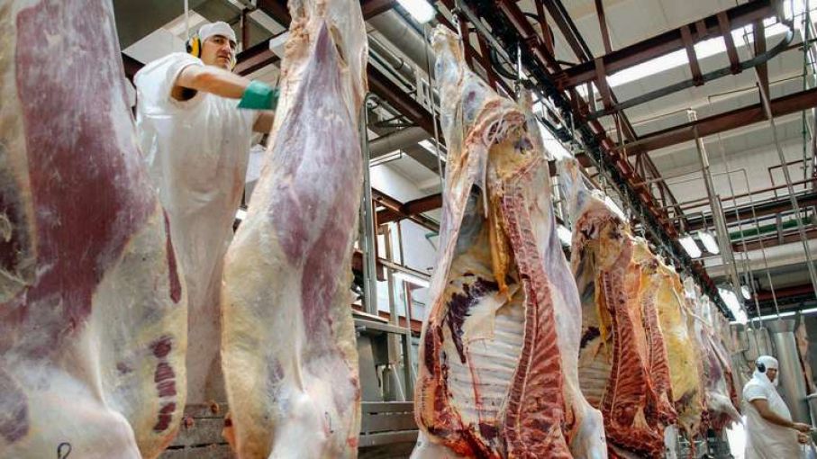 Anticipan una suba en las exportaciones de carne