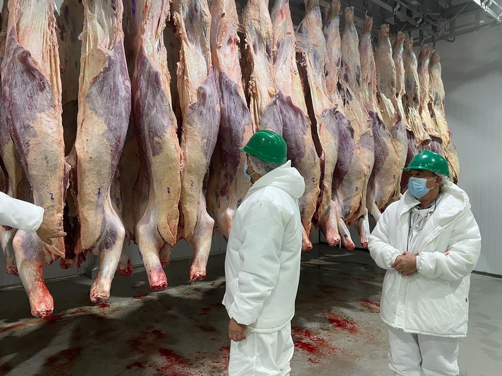 La faena de ganado bovino subió 5,8% en noviembre respecto de octubre y 5,4% interanual, según ABC