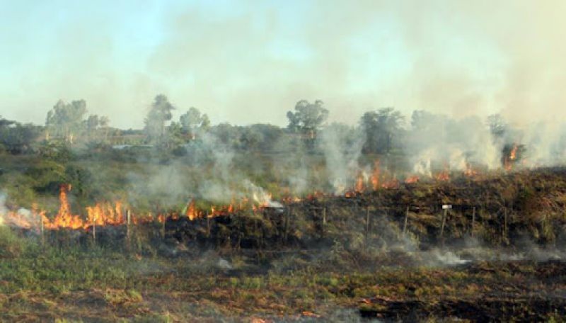 Siete provincias registraban hoy incendios forestales