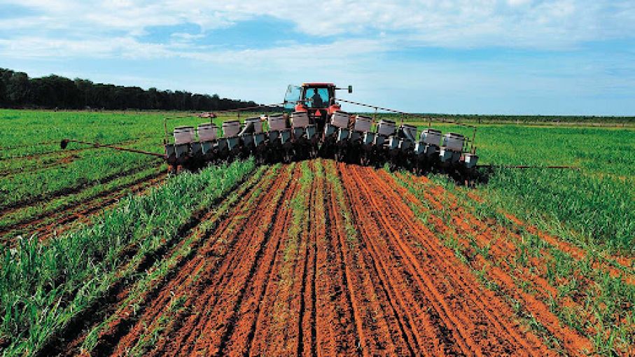 Rendimientos dispares en la continuidad de la cosecha de trigo en Santa Fe