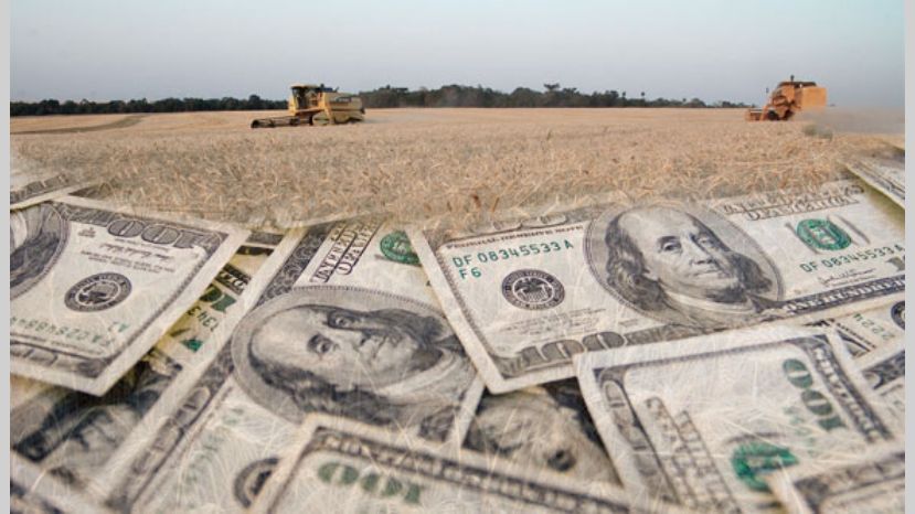 La rural rosarina pide que el gobierno unifique el tipo de cambio