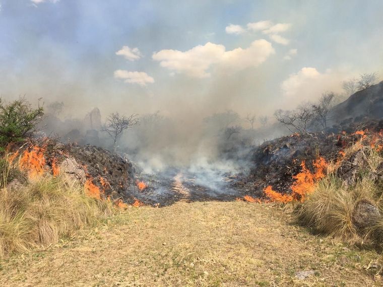 Córdoba: controlan incendio forestal en La Granja y se mantiene activo el fuego en Traslasierra