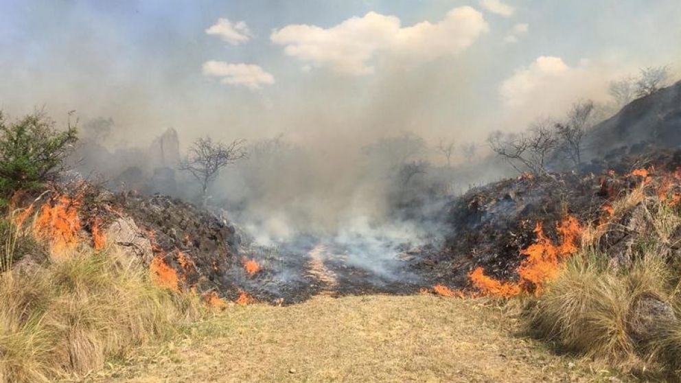 El Gobierno extendi la emergencia gnea en todo el pas hasta 2024