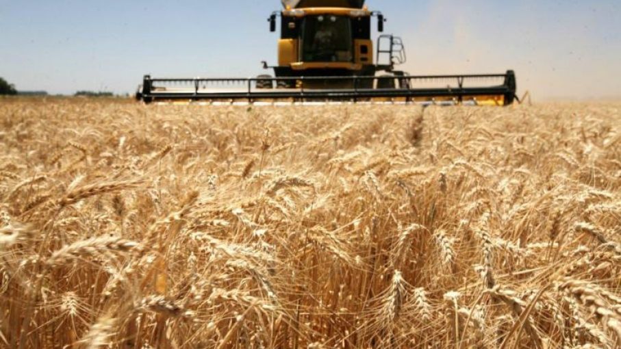 Ya se cosechó el 84% del trigo en Entre Ríos y se sembró el total del sorgo para 2021/22